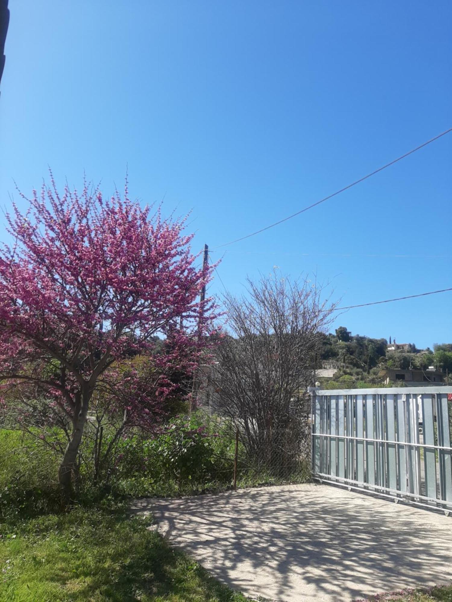 The Mansion Of Dionisos And Dimitras 6 *